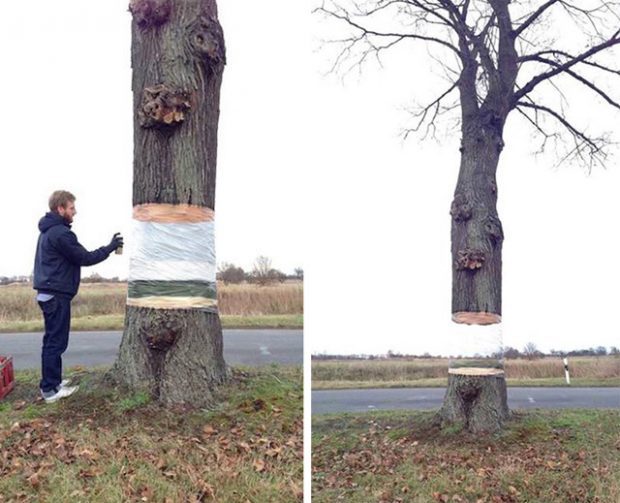 street-art-arbre