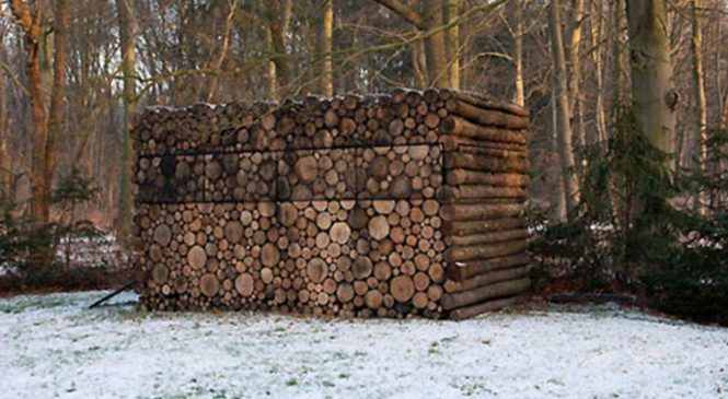 Cette pile de bois cache quelque chose d’absolument magnifique!
