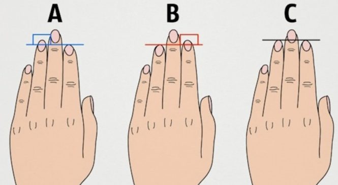 La longueur de vos doigts peuvent dire beaucoup sur votre personnalité. Regardez bien!
