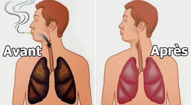 4 aliments magiques qui peuvent nettoyer les poumons des fumeurs !