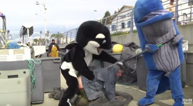 Rémi Gaillard dénonce la maltraitance des animaux marins dans une nouvelle vidéo