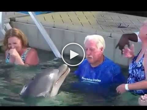 Un dauphin crache de l’eau sur un homme, mais celui-ci réplique!
