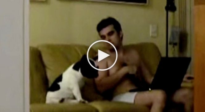 Une caméra cachée capte ce qu’un homme fait avec le chien de sa femme en son absence! Terrifiant!?!
