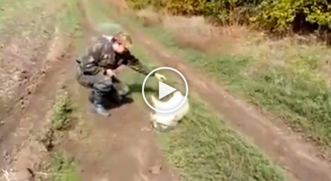 Deux chasseurs ont entendu des cris provenant d’un sac abandonné dans la forêt…Regardez ce qu’ils ont trouvé!