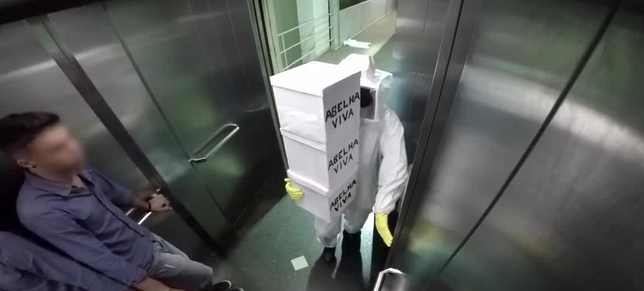 Ils font croire qu’il y a une attaque d’abeilles dans l’ascenseur