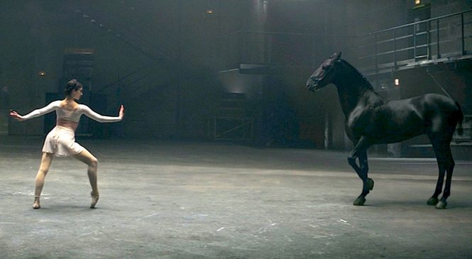 Une ballerine commence à danser devant ce cheval, lorsqu’il s’approche d’elle, wow!