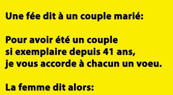 Une fée dit à un couple marié…