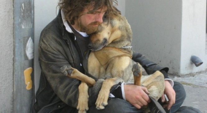 17 images qui prouvent que le chien est véritablement le meilleur ami de l’homme