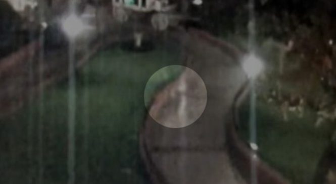 Incroyable : Une caméra de sécurité du Disneyland filme une chose vraiment bizarre