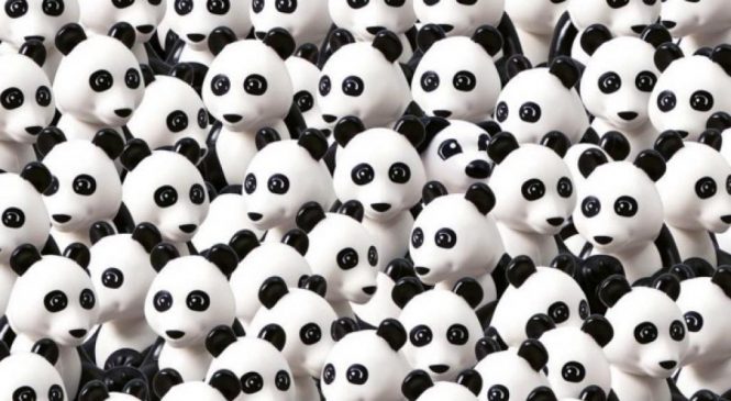 Peu de personnes arrivent à trouver le chien dans cette image remplie de pandas
