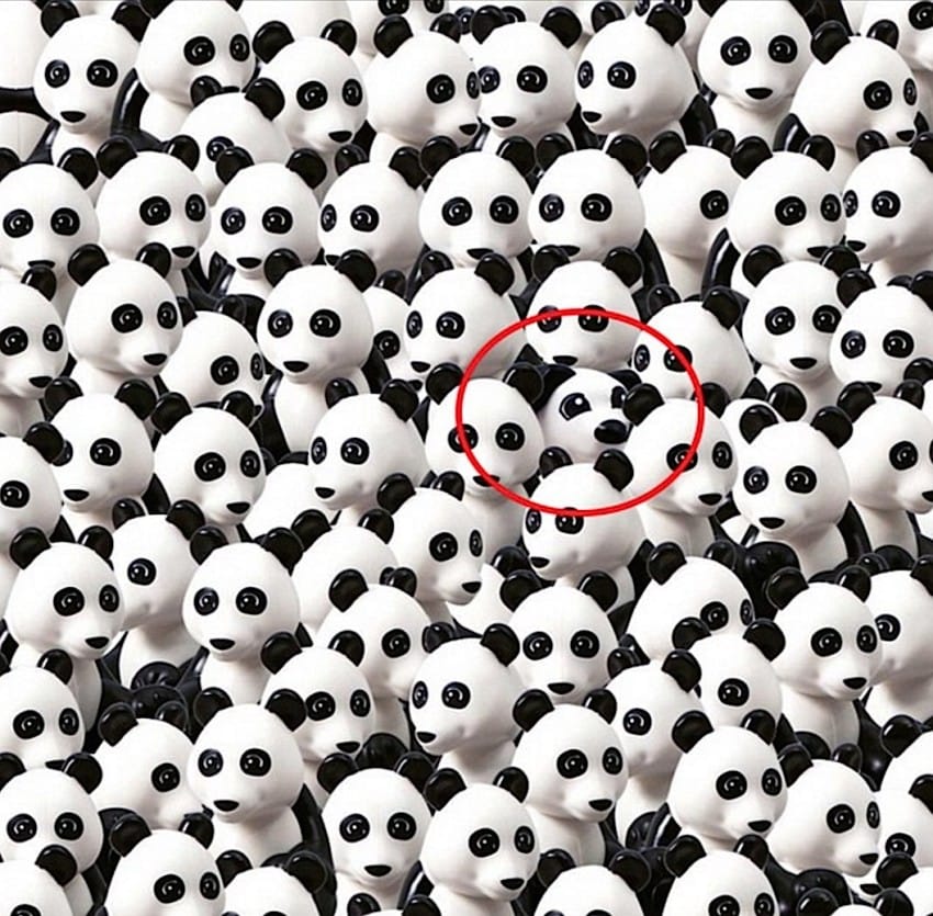 panda-chien