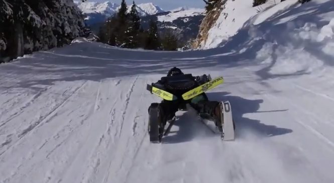 Buggy Ski, une combinaison surréaliste qui permet de skier dans toutes les positions