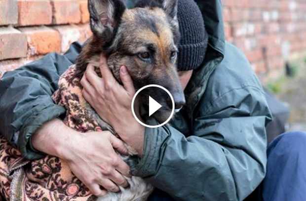 Pendant qu’il petit-déjeune, cet homme observe un SDF avec son chien ...