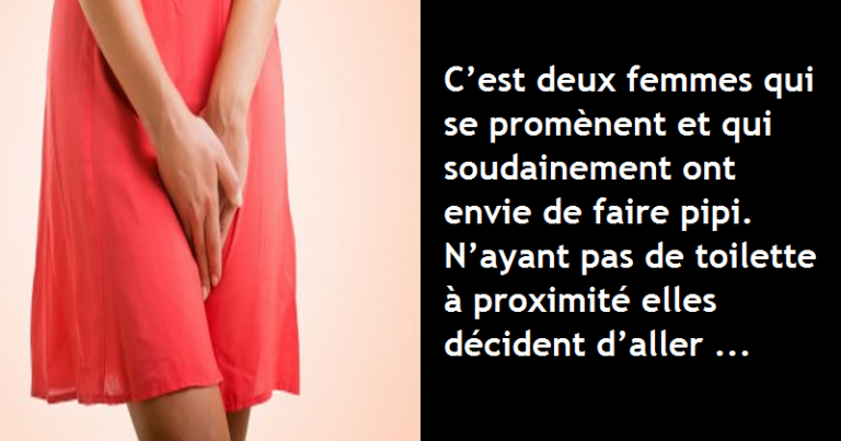 Cest Deux Femmes Qui Se Prom Nent Et Qui Soudainement Ont Envie De