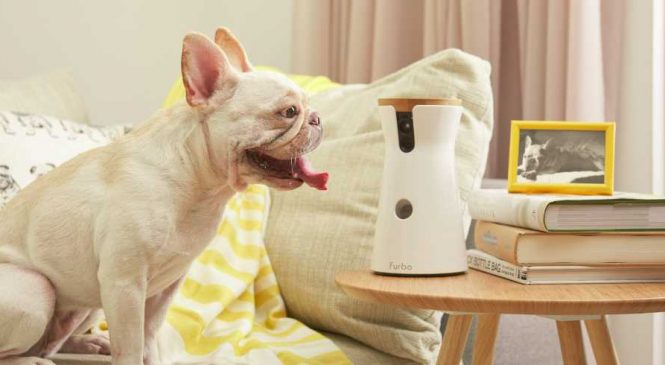 Furbo Dog : Une caméra connectée qui balance des croquettes