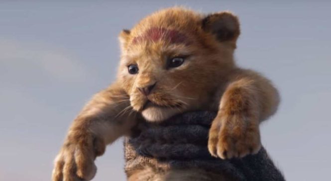 Le Roi Lion Streaming (2019)