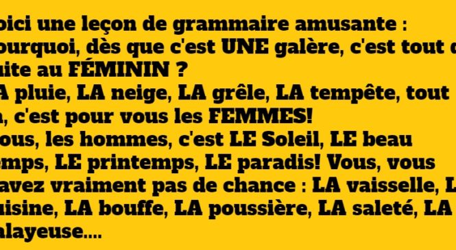 Une leçon de grammaire amusante