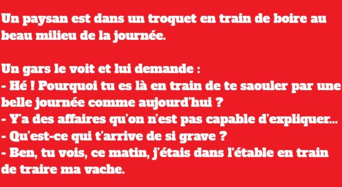 Un paysan est dans un troquet en train de boire au beau milieu de la journée