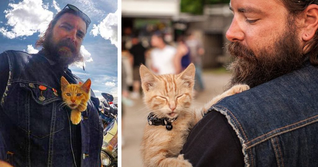 Un motard sauve la vie d’un chat grièvement brûlé. Il l’a ensuite emmené en voyages!
