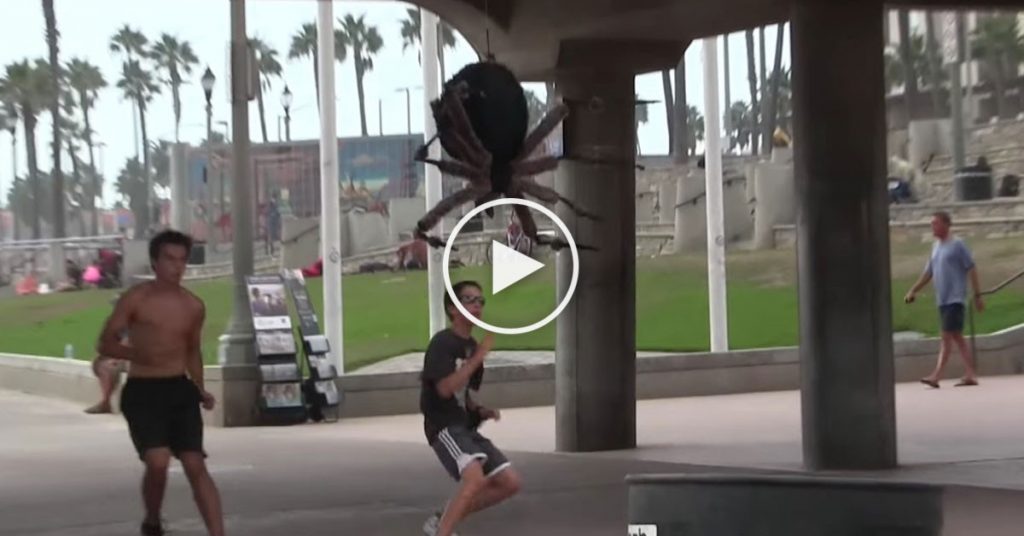 Une énorme araignée mutante traumatise les gens d’une ville!