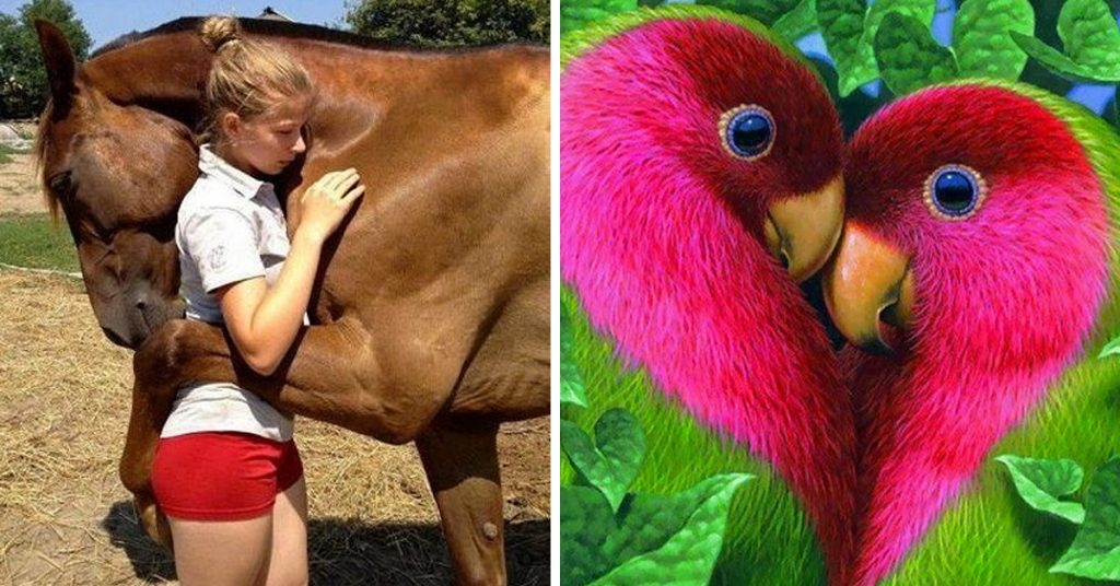 33 photos incroyables captées à un moment parfait. Impossible de les refaire!