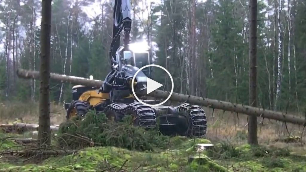 Une impressionnante machine pour abattre et couper des arbres!