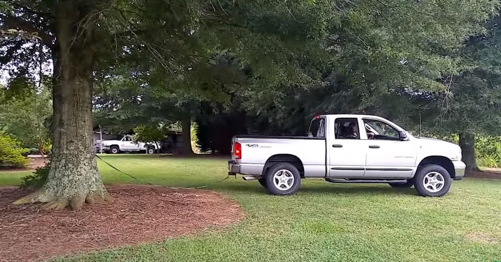 Il tente de déraciner un arbre avec sa camionnette, mais gardez un oeil sur le tronc!