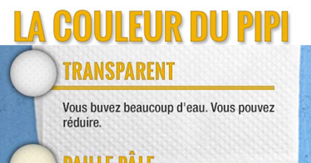 Découvrez si vous êtes malade grâce à la couleur de votre pipi