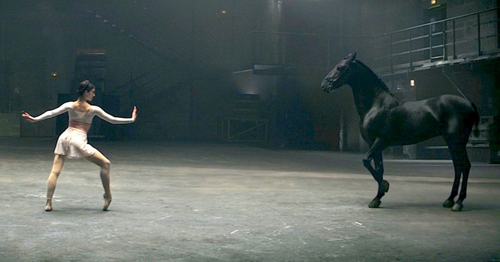 Une ballerine commence à danser devant ce cheval, lorsqu’il s’approche d’elle, wow!