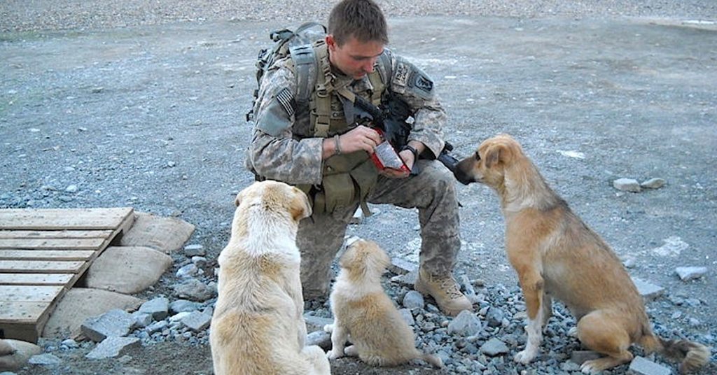 Un militaire trouve trois chiens abandonnés mais il ne s’attend pas à ce qu’ils changent sa vie