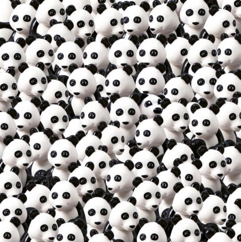 Peu de personnes arrivent à trouver le chien dans cette image remplie de pandas