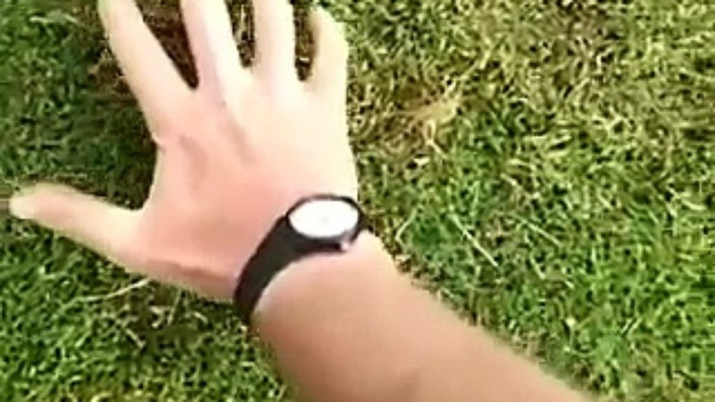 Cet Homme parvient à attraper une Taupe à Mains Nues