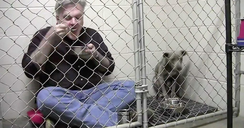 Cet homme s’enferme dans une cage avec un Pit Bull dangereux. Regardez la réaction du chien quand il commence à manger!