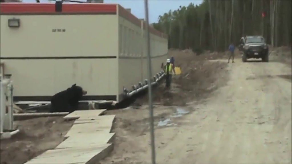 Un ouvrier de chantier fait une blague à un collègue. Vous allez exploser de rire !