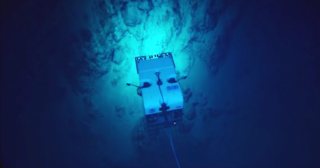 Des chercheurs ont plongé une caméra au fond de l’océan et elle a filmé des créatures invraisemblables