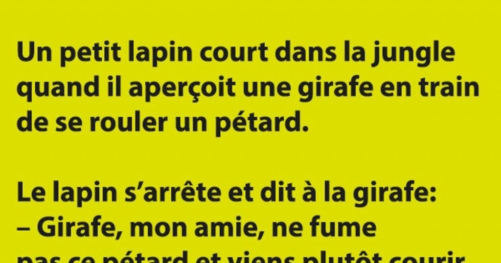 Un petit lapin court dans la jungle quand il aperçoit une girafe…