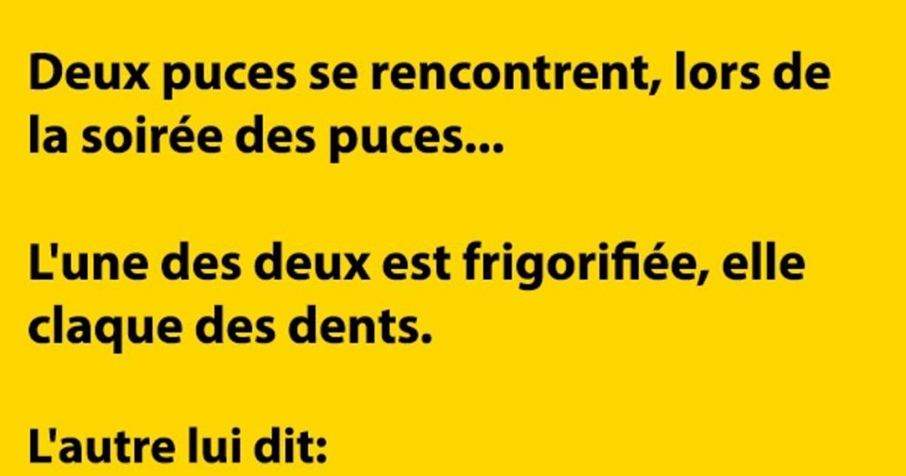 Deux puces se rencontrent, lors de la soirée des puces…