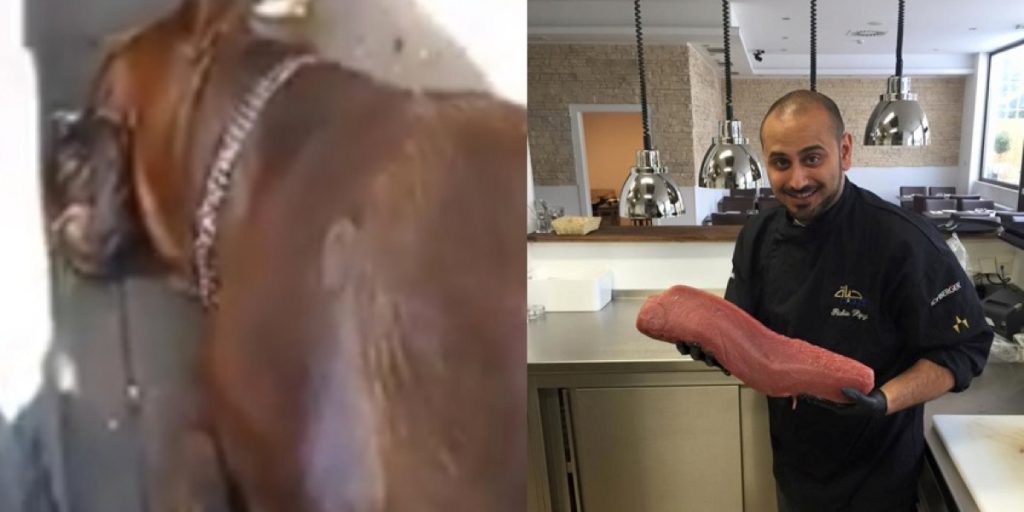 Il trouve un chien mort dans une voiture. Ce qu’il fait après dans son restaurant est dingue.