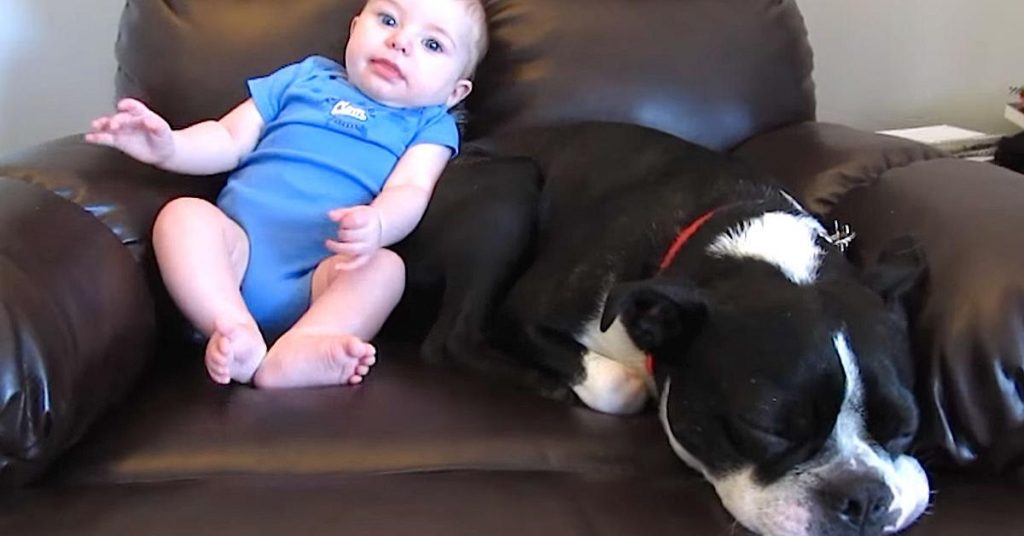 La maman filme son enfant à côté du chien. Soudain le bébé pète. La réaction de l’animal? À mourir de rire!