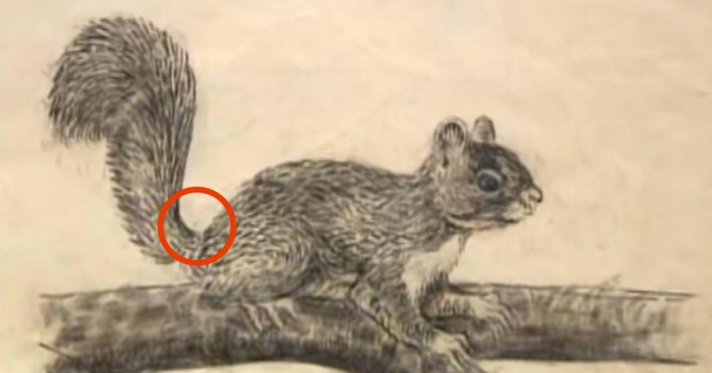 Vous pensez que c’est juste le dessin d’un écureuil ? Regardez d’un peu plus près !