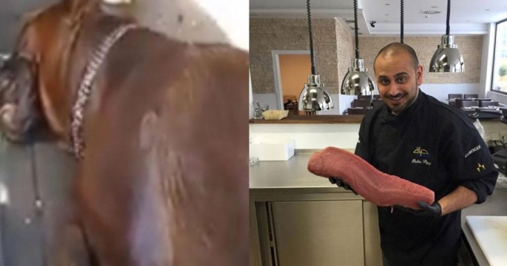 Le chef d’un restaurant arabe trouve un chien mort dans une voiture et fait un geste qui fait le tour du monde!
