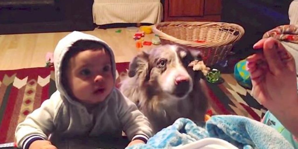 La maman demande à son bébé de dire “mama.” Mais regardez le chien à droite.