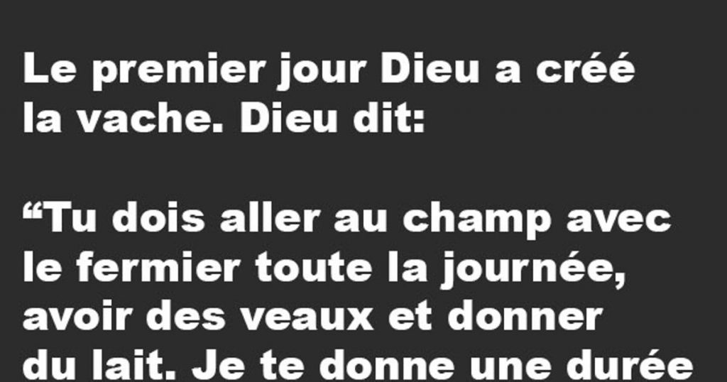 Le premier jour Dieu a créé la vache. Dieu dit…