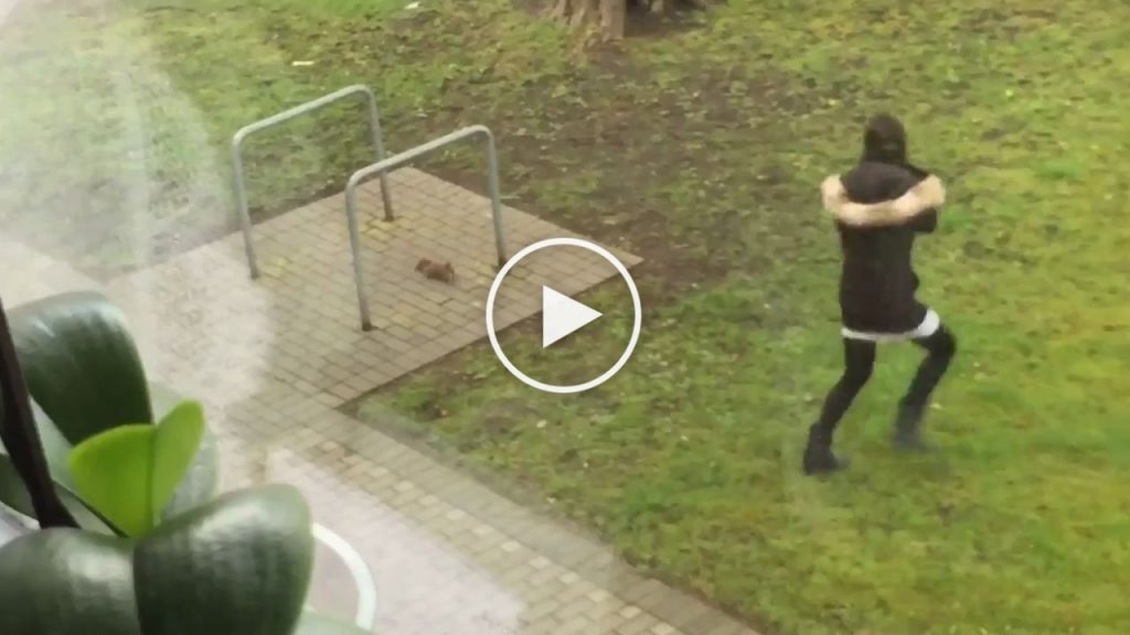 Cette femme se fait poursuivre par un écureuil !