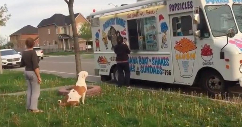Ce Chien fait la queue pour acheter une douceur. Et regardez ce qu’il fait à 0:54!