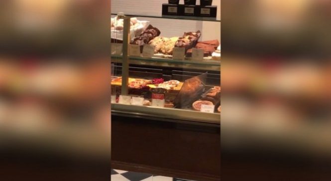 Des rats se promènent tranquillement dans la vitrine d’une boulangerie connue de TOUS à Paris!