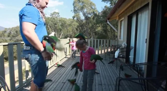 Un père et ses enfants sont sur le balcon ! Quelque chose de FABULEUX se produit !