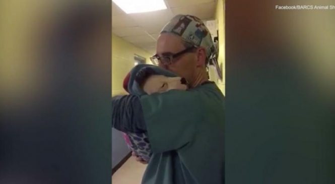 Ce chiot effrayé ne peut pas s’arrêter de pleurer. Mais quand le docteur lui fait ÇA? Très touchant.
