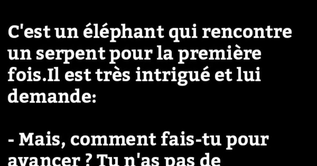 C’est un éléphant qui rencontre un serpent…