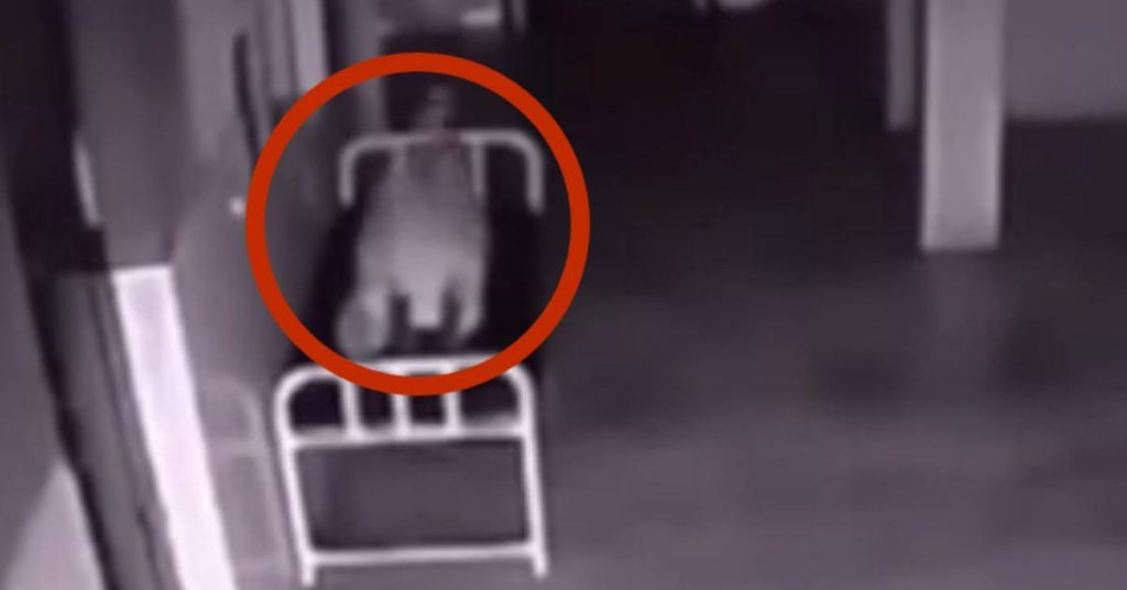 Une femme meurt à l’hôpital. Ce que filme ensuite la caméra de surveillance m’a donné des frissons.